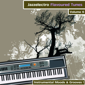 500x500-000000-80-0-0