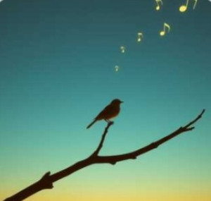 screenshot_20251229_124507_my-files