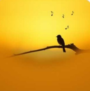 screenshot_20251229_124624_my-files