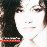 שלומית-אהרון,-shlomit-aharon---כשתבוא-תראה