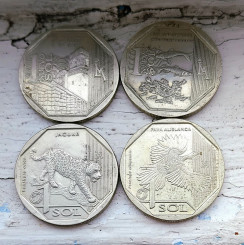 photo_2026-01-09_08-22-23