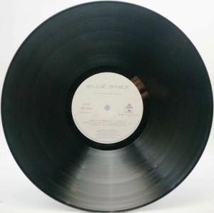 anamorphosée-1995-05