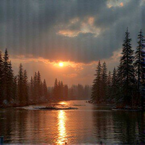 img_20260112_221215_694