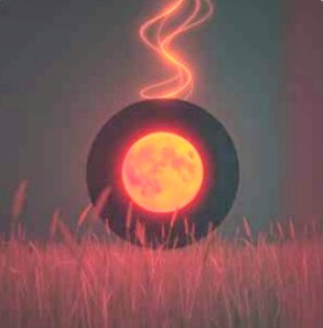 img_20260119_222832_695