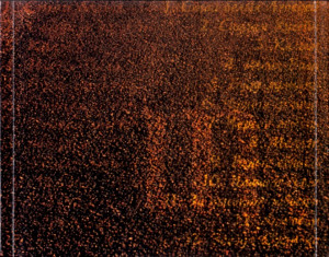 stai-belyih-lebedey-2004-04