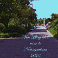 de-jaeltes---ik-wil-u-(zijs-zo-heftig)i-want-you-(shes-so-heavy)