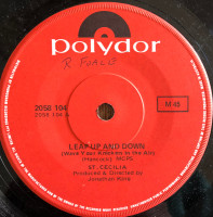 st-cecilia---leap-up-and-down-(wave-your-knickers-in-the-air)