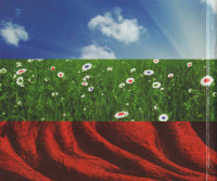 r-5936815-1679737507-8205