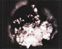 r-5697397-1612628646-3925