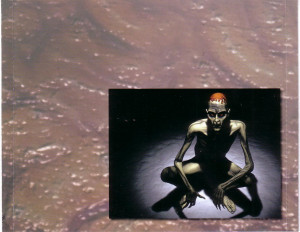 d---contra-contraportada