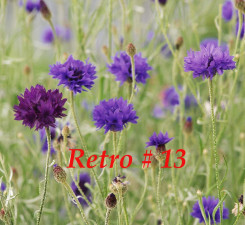 retro-_-13