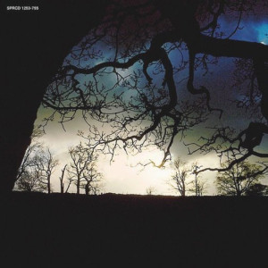 vecher-s-dianoy-(1992)-1999-05