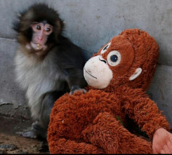 screenshot_2026-02-21-11-05-41