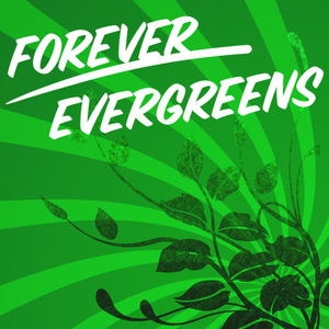 0-forever-evergreens