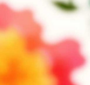 screenshot_20260224_135719_my-files