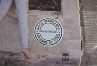 r-3308876-1550729063-2033