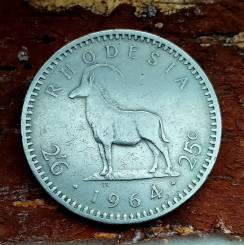 photo_2026-03-03_06-26-42