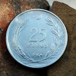 photo_2026-03-10_07-02-06