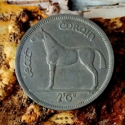 photo_2026-03-10_07-01-53