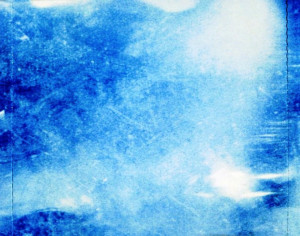 a-flowers-broken-1999-10