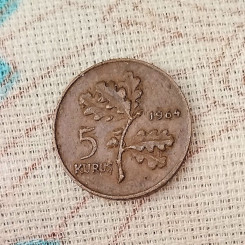 photo_2026-03-23_06-26-10