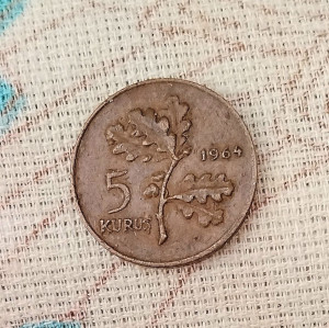 photo_2026-03-23_06-26-10