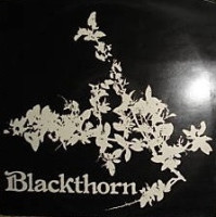 blackthorn---rick-rack