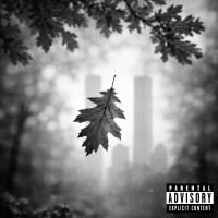 grzmotniczy---wrzesień