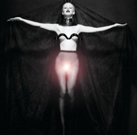 r-2310159-1276535280