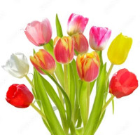 screenshot_2026-03-07-18-33-39