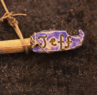 r-1442042-1249012702