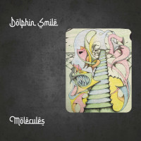 dolphin-smile---nobody-else-(said-the-sad-spaceman)