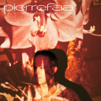pierre-faa---olifantenpaadje