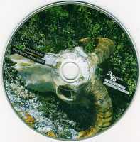 r-17515129-1613895448-6638