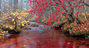 screenshot_20260403_072143_gallery