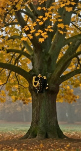 screenshot_20260403_081006_gallery