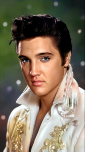 b65d77ba79e5e1eb7da22d1a0aa47532