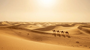 screenshot_20260416_235724_gallery