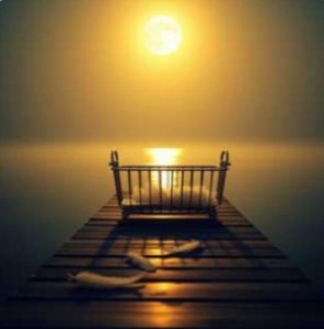 screenshot_20260417_213608_my-files