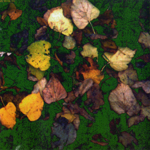 ne-povtoryaetsya-takoe-nikogda-1996-03