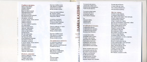 solntseklosh-2008-05