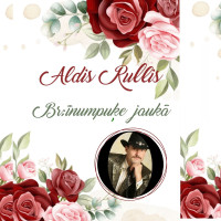 aldis-rullis---tu-aizgāji-kaut-teici
