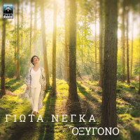 giota-negka---oxygono