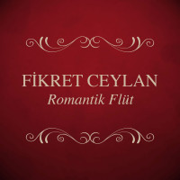 fikret-ceylan---feelings