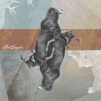 ours-samplus---sortie-du-corps