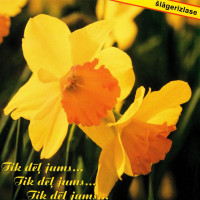 pēteris-draņevičs---laila