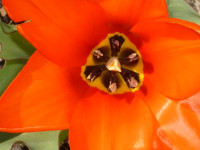 фото