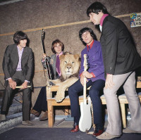 the_troggs1