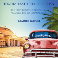 mauro-nardi---indifferentemente
