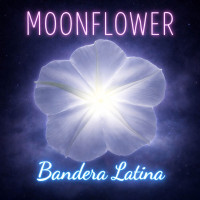 bandera-latina,-salvatore-giuseppe-sichi---moonflower